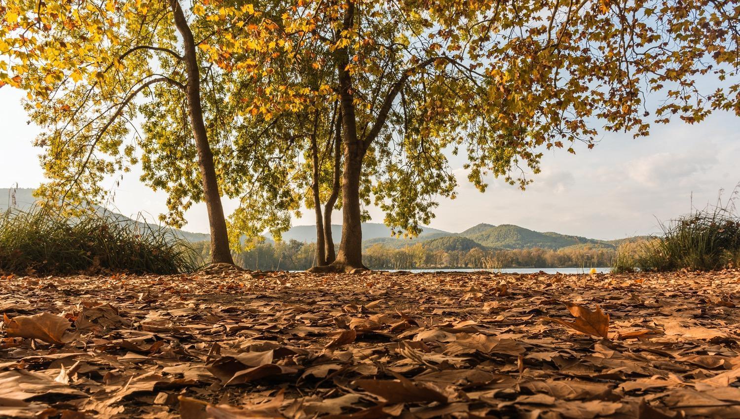 Camping Bungalow El Llac De Banyoles Porqueres Екстериор снимка